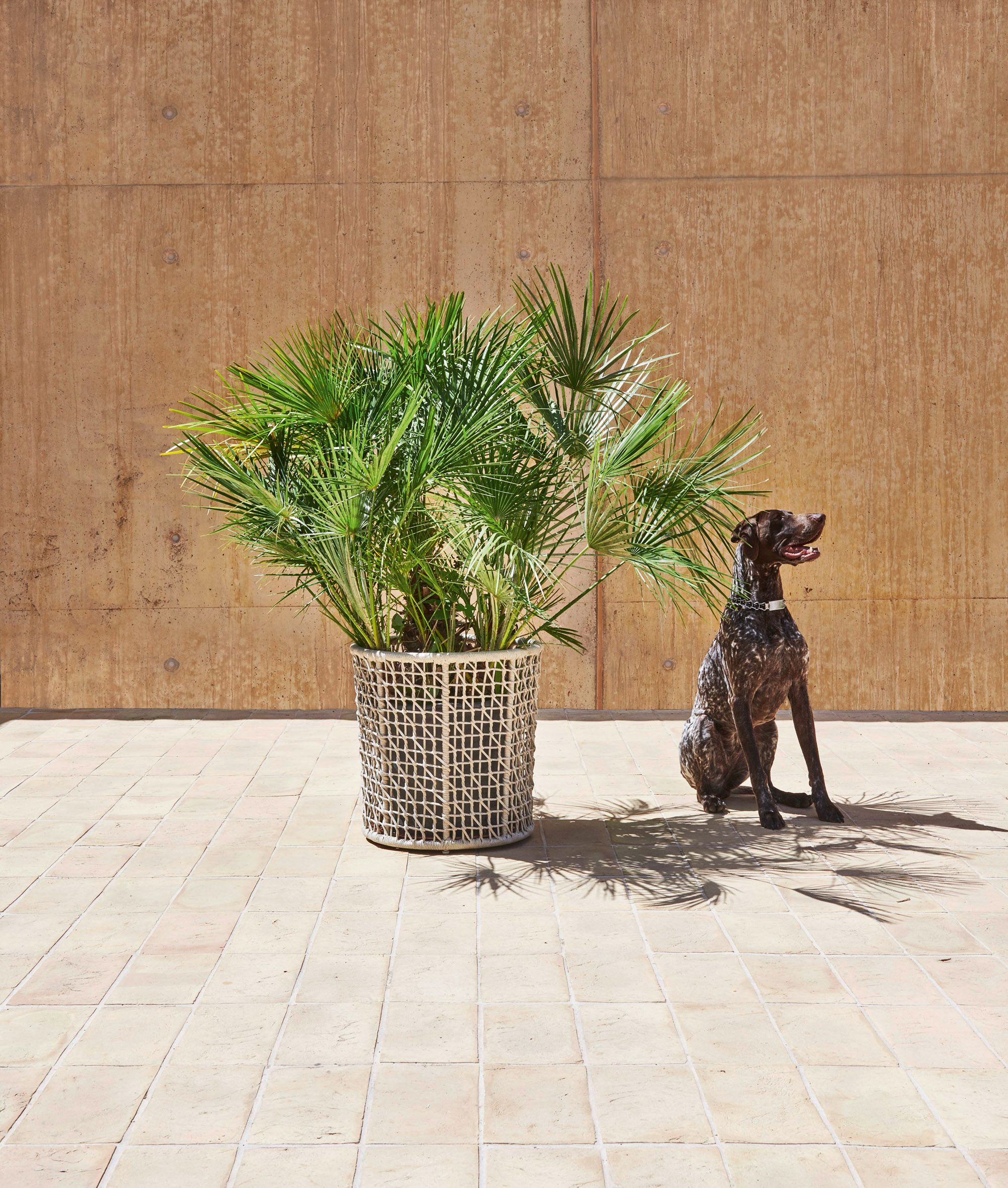 Круглый держатель для горшка из синтетического волокна Varaschin Эмма ARCH-00041439 - Вид №5