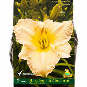 82118730 Лилейник гибридный «Лаллебай Бэби», 1 шт.