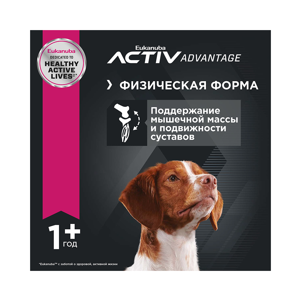 Т00001277 Корм для собак для средних пород сух. 3кг Eukanuba  - Вид №6