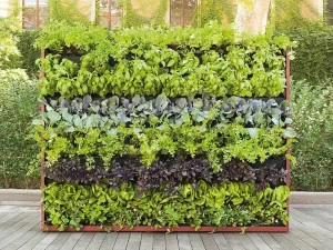 Paola Lenti Зеленая стена