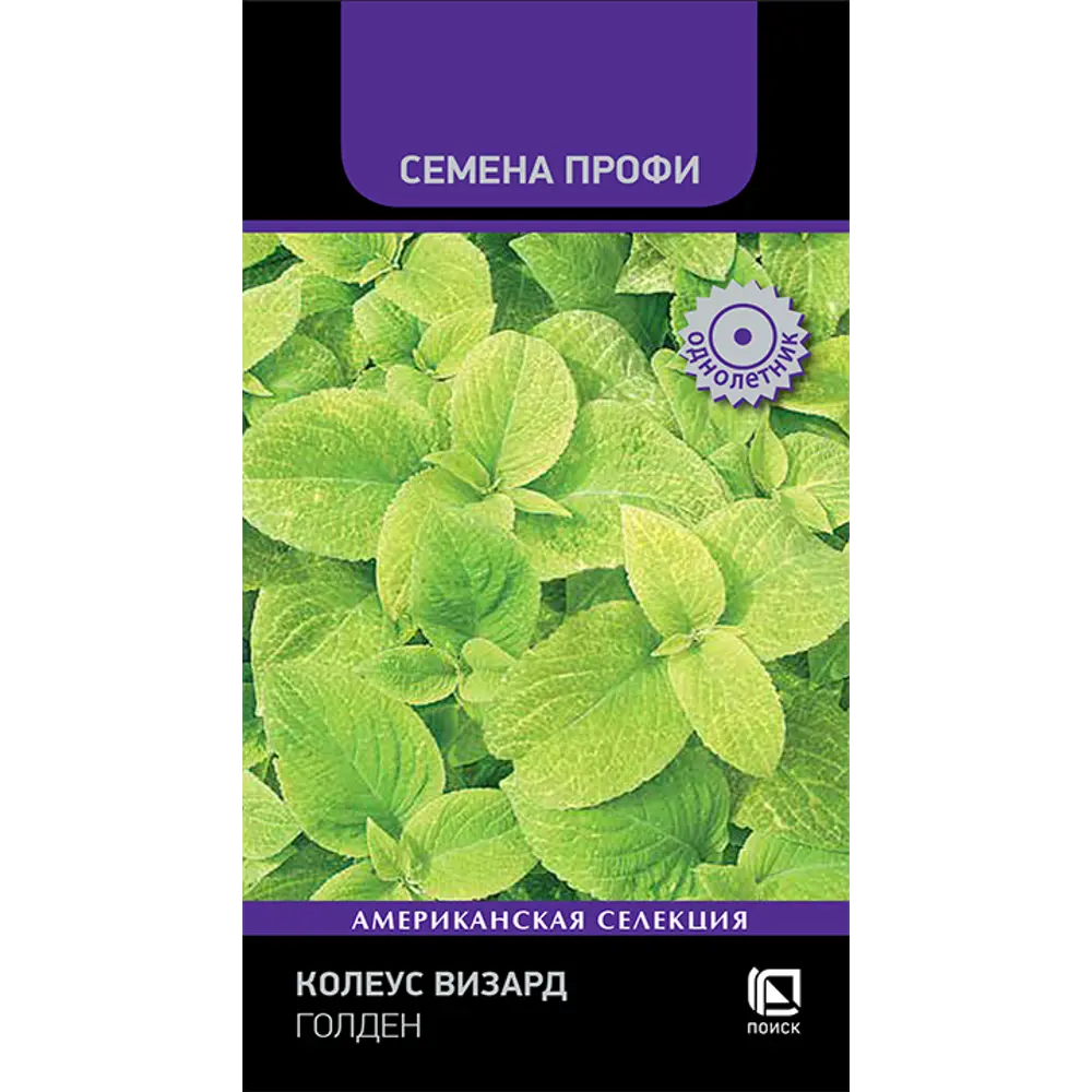 ПОИСК Колеус Визард Голден - декоративный сорт с лимонно-зелеными листьями 89401219 STLM-1579201