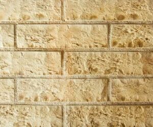 Римский камень 0510 искусственный камень 8х29