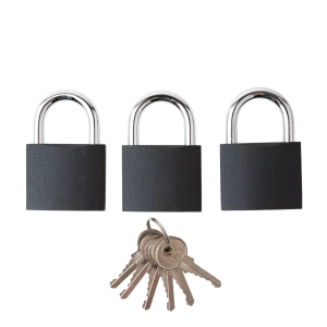 Комплект висячих замков Armex 50x75 мм