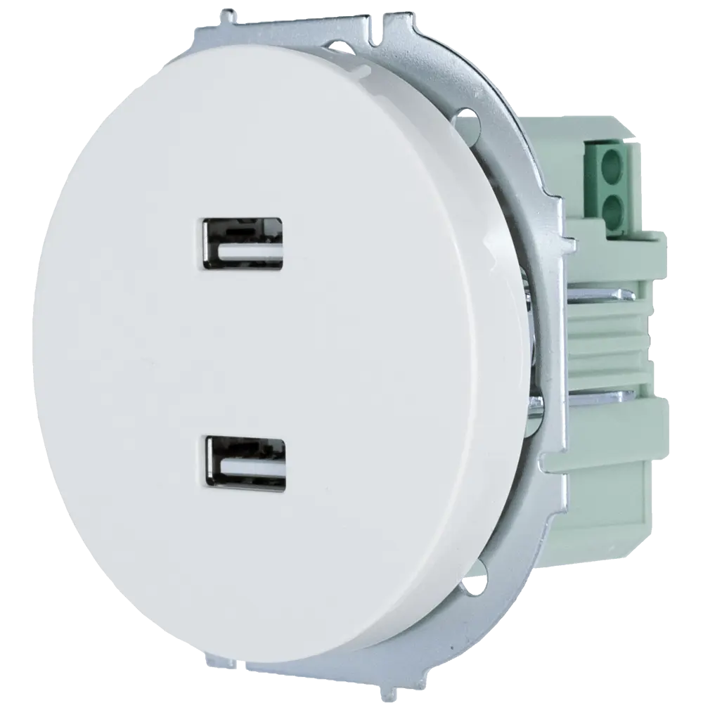 Розетка двойная USB встраиваемая Osen цвет белый 89424723 STLM-2212109 LEZARD - Вид №1