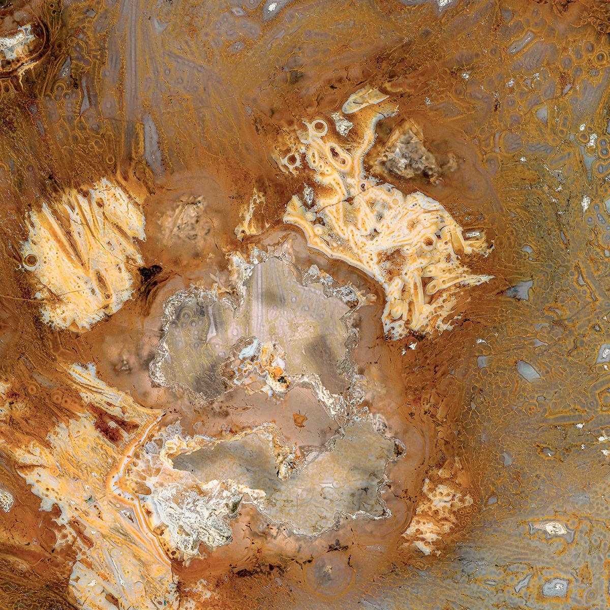 SICIS Plutone Taupe Vetrite sun-id-1991225 - Вид №3