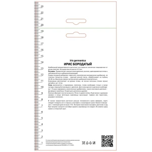 Ирис бородатый Кантина 89452218 STLM-2114638