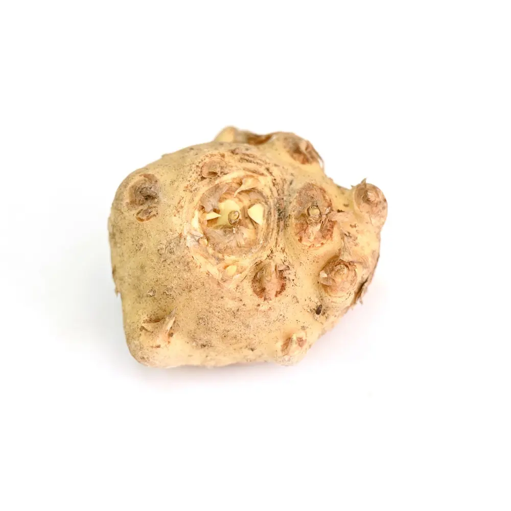 Калла Geolia Блэк Форист STLM-2125609 - Вид №2