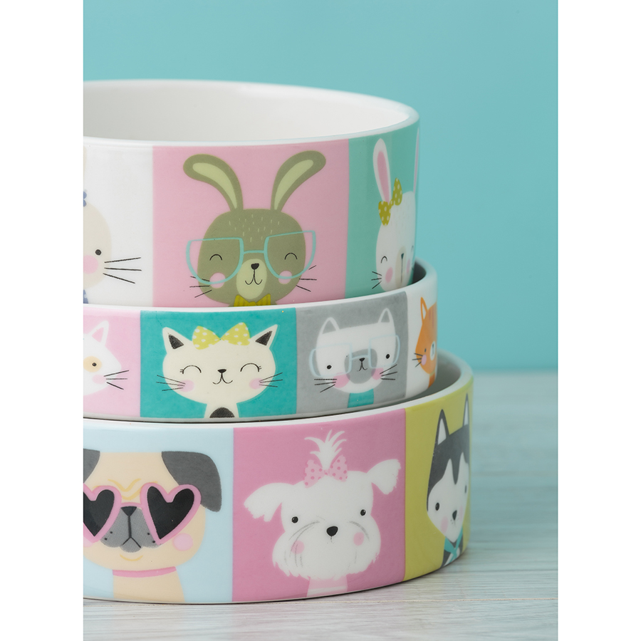 2030.475 Миска для собак pawtrait, D15 см, 600 мл Mason Cash  - Вид №5