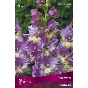 Гладиолус гофрированный Санбелт, 5 шт.