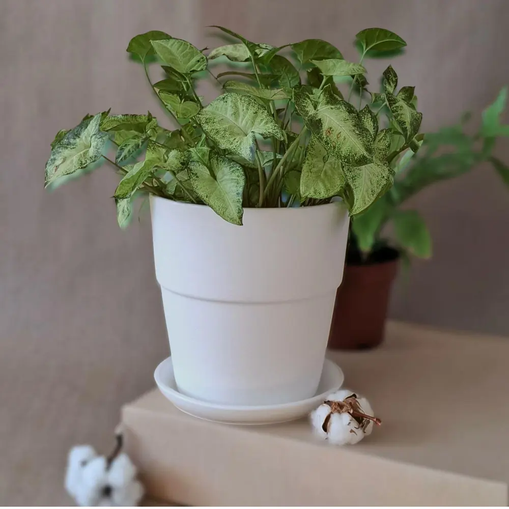 Горшок для цветов Котон Ø12 h12 см v0.8 л керамика белый 89467592 STLM-2059321 Santreyd нет - Вид №1