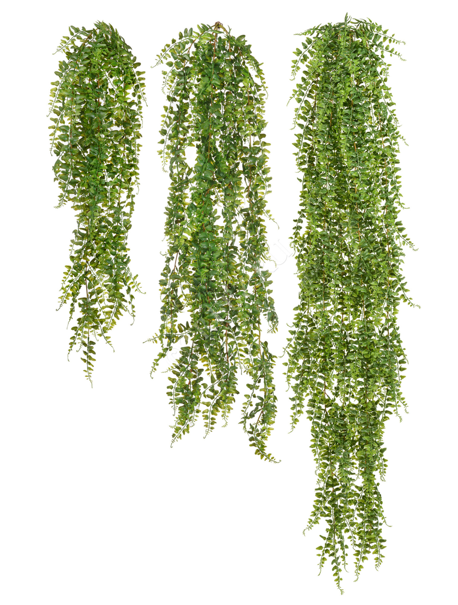 20.1412XL Папоротник Лесной ампельный Цветочная коллекция 