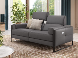 2-местный кожаный диван