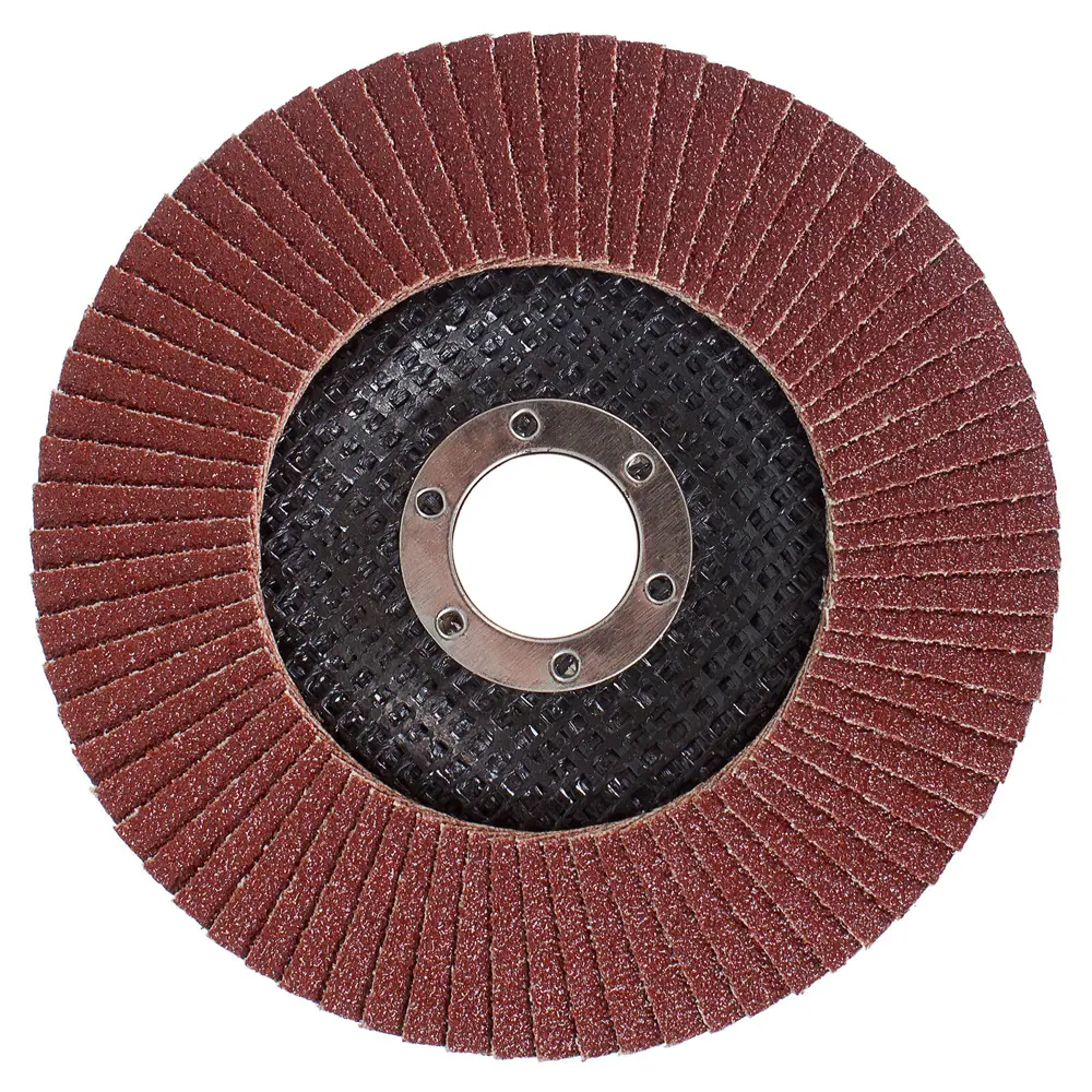Лепестковый шлифовальный круг FLEXIONE для грубой обработки поверхностей 81929902 STLM-0014056
