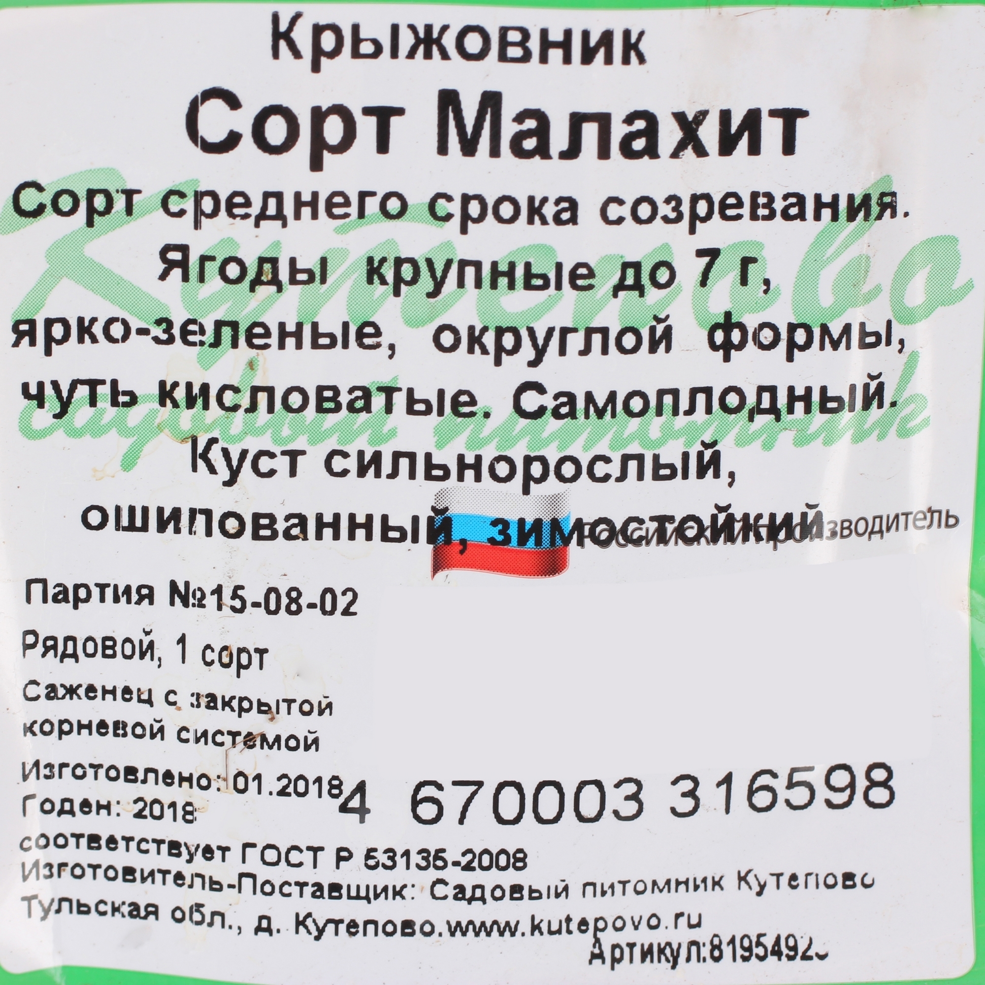 Крыжовник Малахит Santreyd - плодовый куст с зелеными ягодами 81954923 STLM-0015226 - Вид №1
