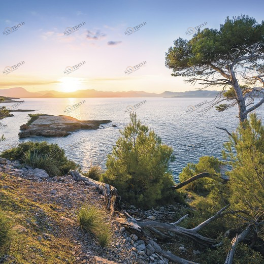 SH063-VD4-Southern-Light Фотообои Komar Stefan Hefele 2.5х4 м SH063VD4SOUTHERNLIGHT