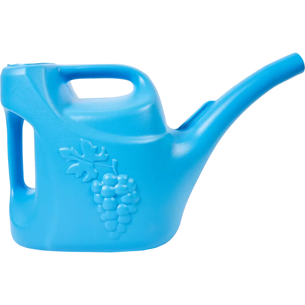 Santreyd Лейка Урожайная с рассеивателем 5 литров 86745478 STLM-0071161 - Вид №3