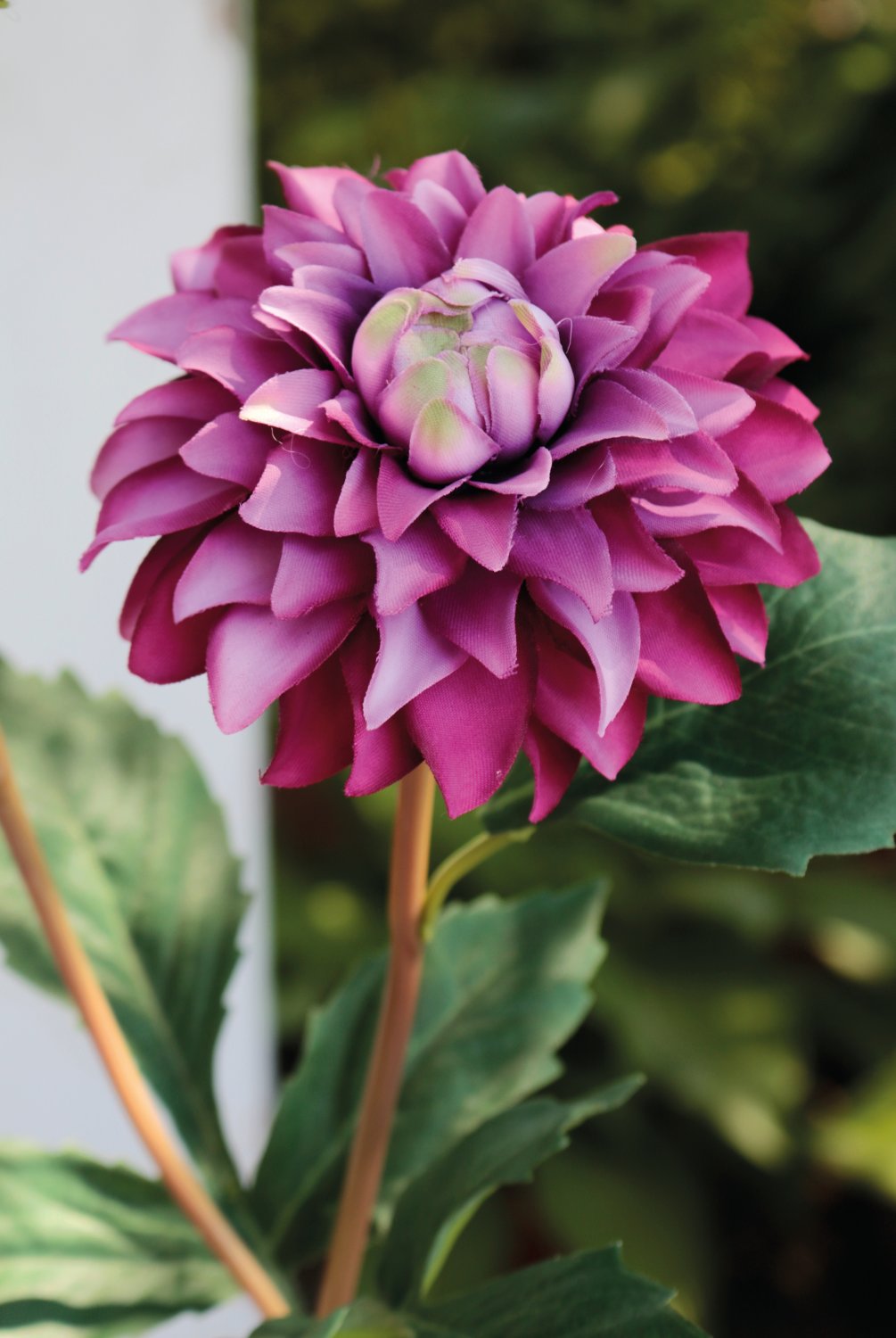 2451 222 a3 Пластиковый георгин, 56 см, темно-фиолетовый H-andreas  - Вид №1