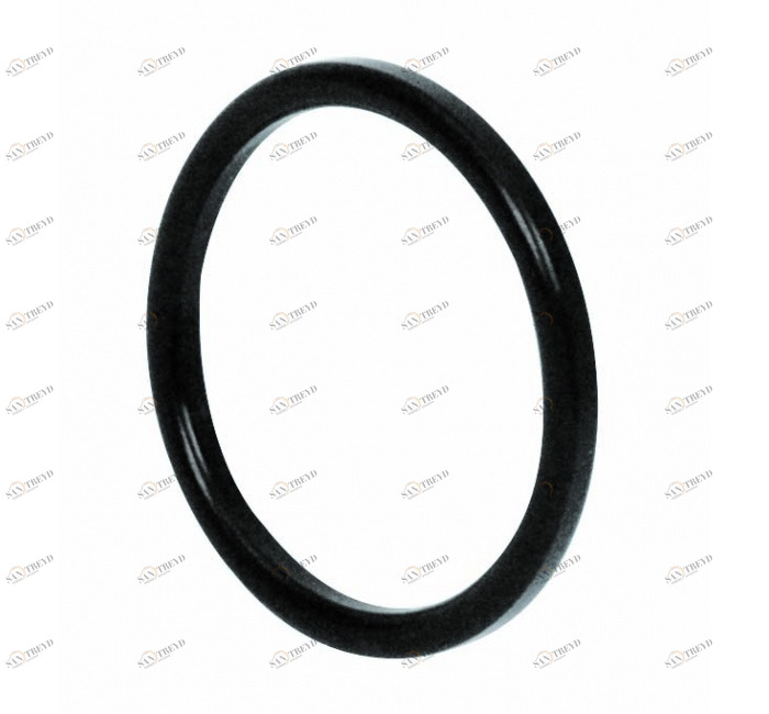 GENEBRE 2957 05 Кольцо уплотнительное для разъема DIN 11851 