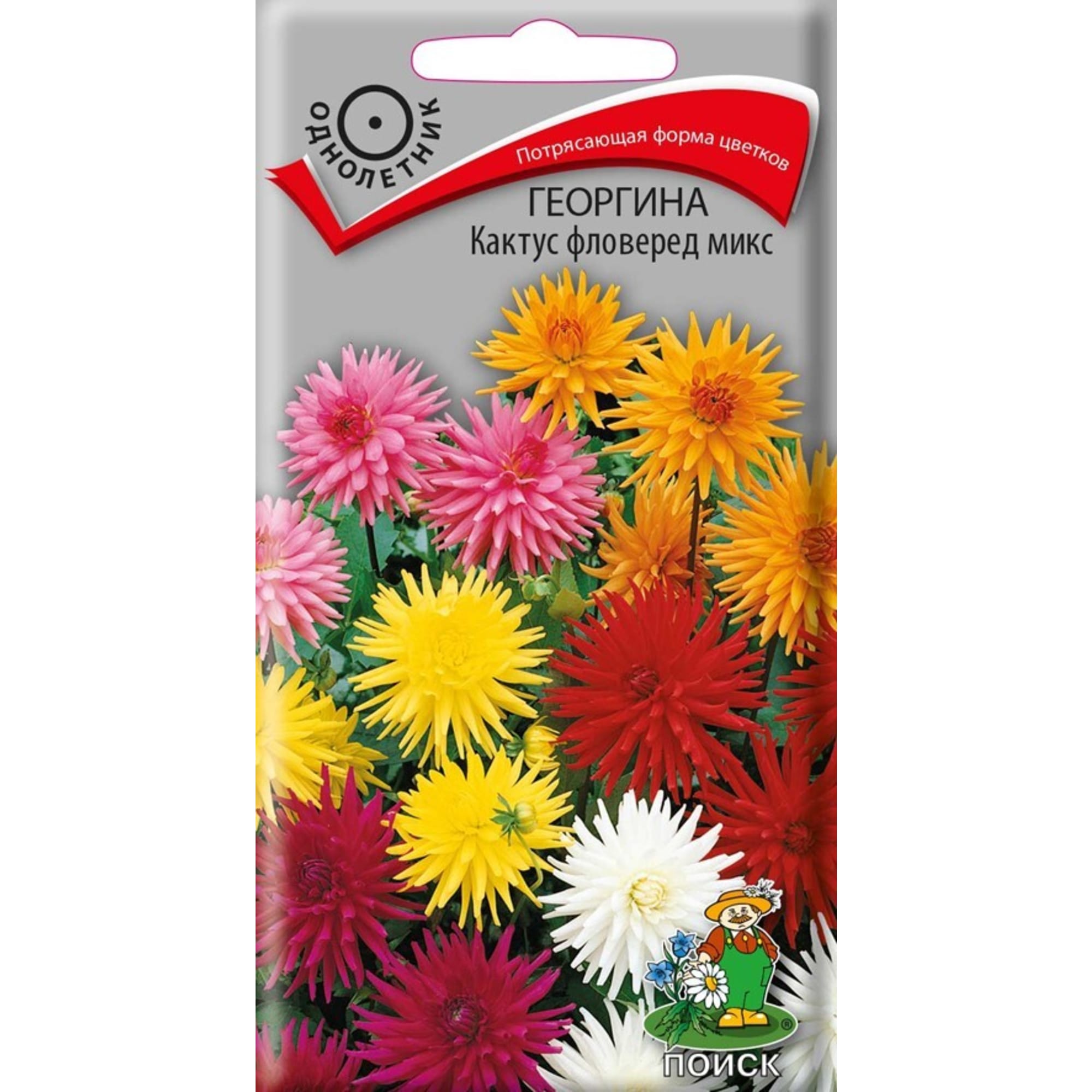 83227380 Семена Георгина кактус «Фловеред Микс» Santreyd 