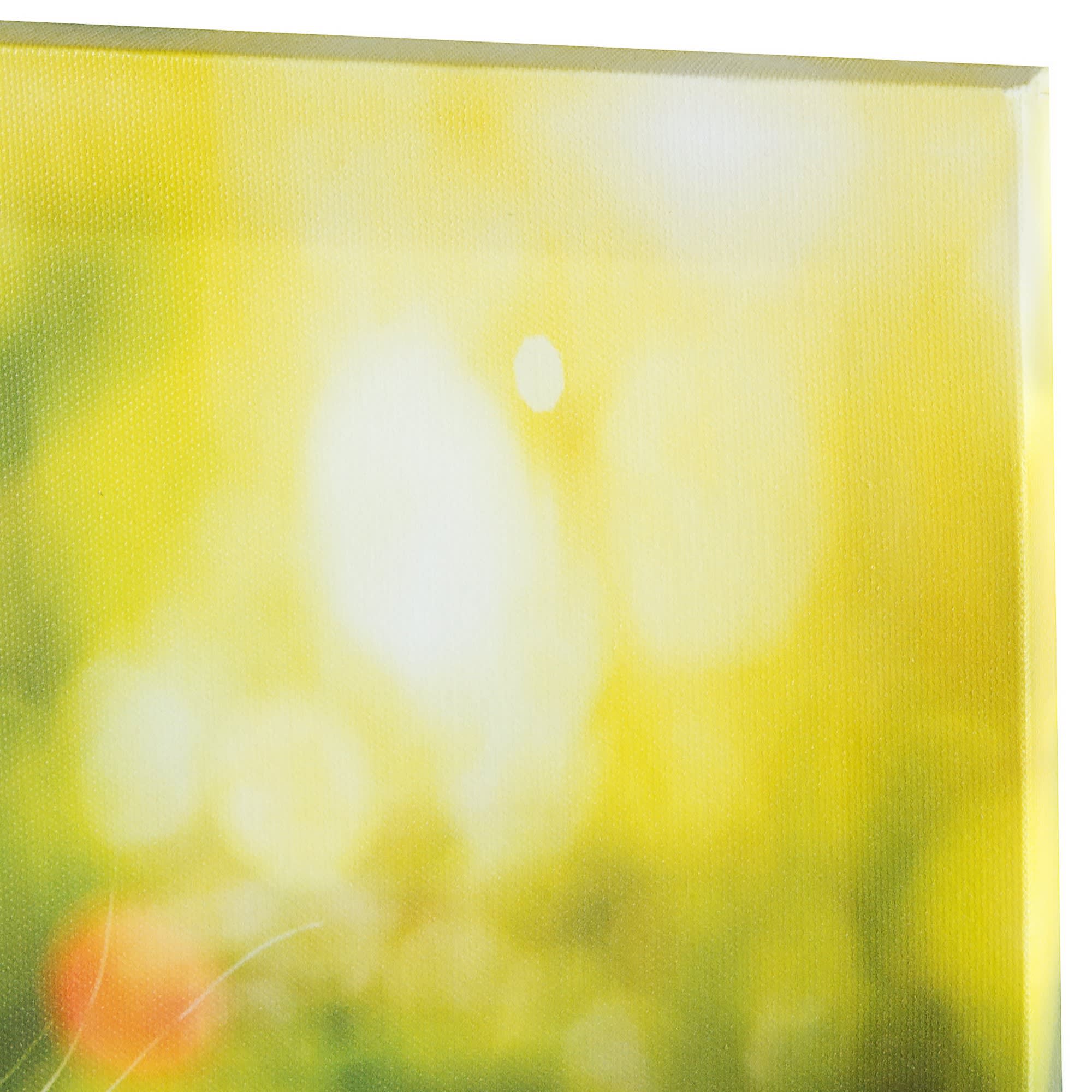 17981685 Картина на холсте «Два котёнка в бабочках» 40х40 см Santreyd  - Вид №1