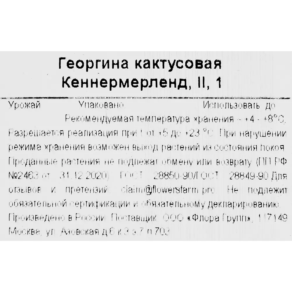 Георгина кактусовая Кеннермерленд 86735801 STLM-2133695 Santreyd  - Вид №2