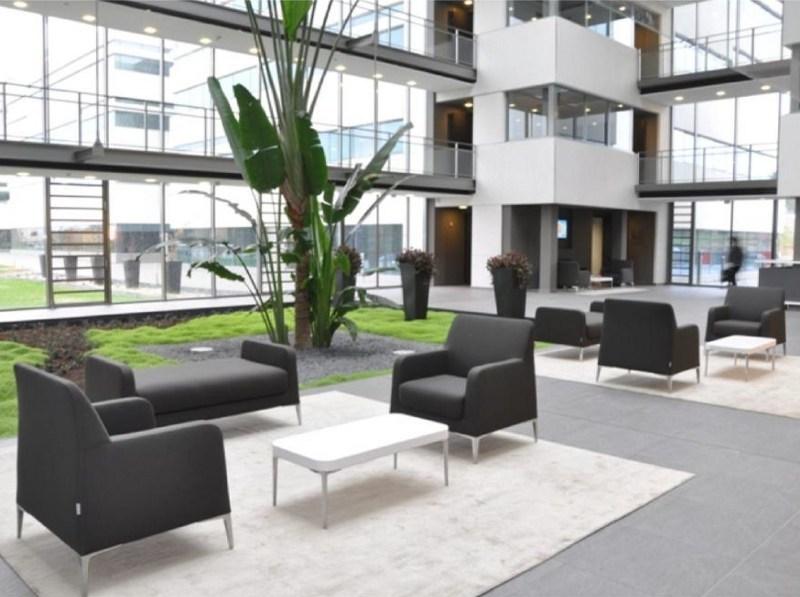 Segis Кресло с подлокотниками Alphabet I805 - Вид №4