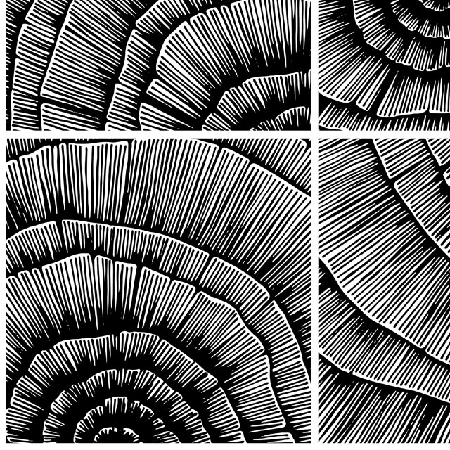 Стеновые панели - Шелл LIGRON LIST40 2185