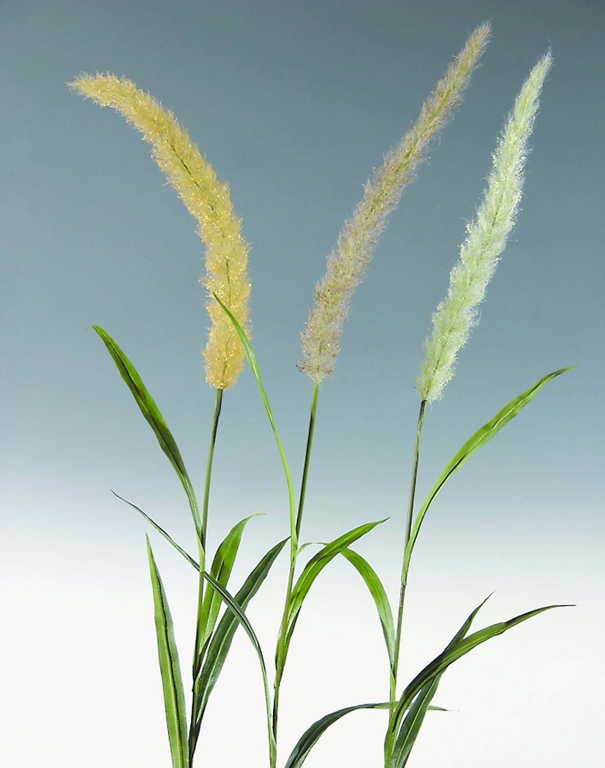 6813 788 a3 Трость искусственная, 160 см, бежево-зеленая H-andreas  - Вид №1