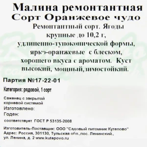 Малина «Оранжевое чудо» С2 40 см 82237803 STLM-2106609