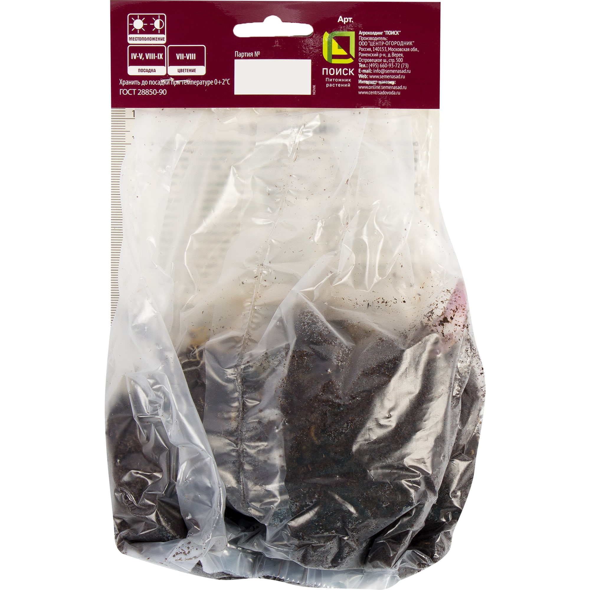 82319597 Хоста гибридная «Инвинсибл», размер луковицы I Santreyd  - Вид №1