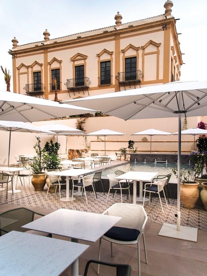 emu Darwin  522  - Вид №17