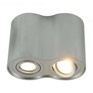 Потолочный светильник Arte Lamp A5644PL-2SI ARTE LAMP 5644 201307 Серебро