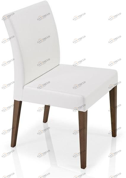 JMS готов Cassis M 14