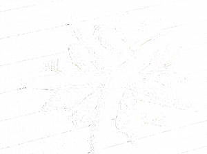 Equipo DRT Полосатая ткань из акрила для улицы Nautica