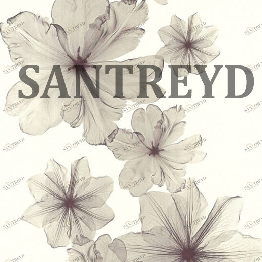 34272-2 Обои A.S. Creation X-Ray 342722