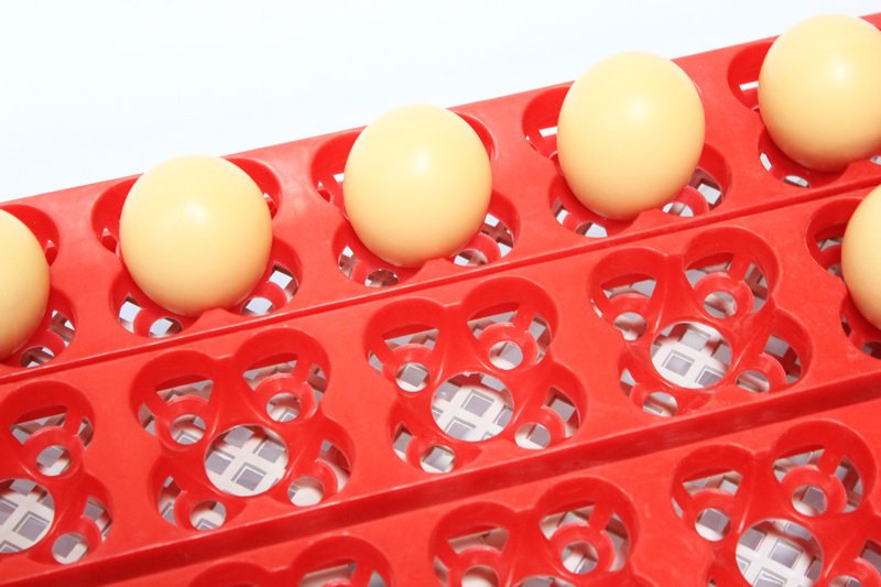 2005 Инкубатор для яиц автоматический И-24 LAB.Space  - Вид №2