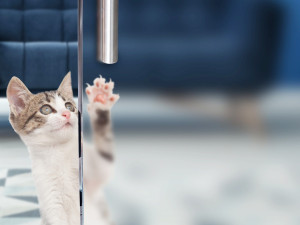 Устойчивое к царапинам и пятнам стекло