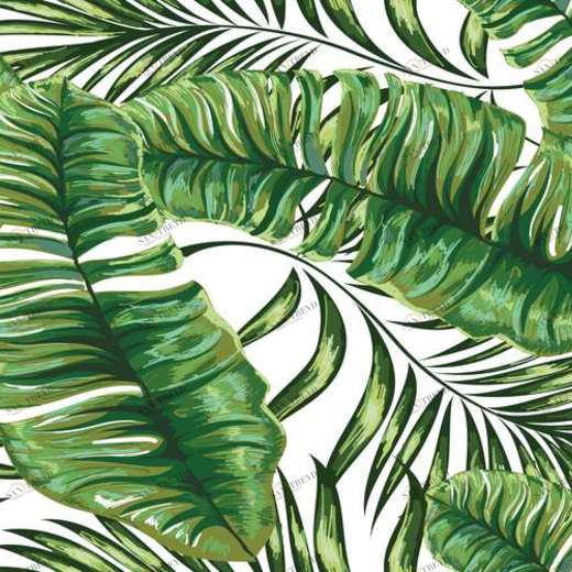 WP02748 Фотообои Verol Фотообои decoline 1х1 м