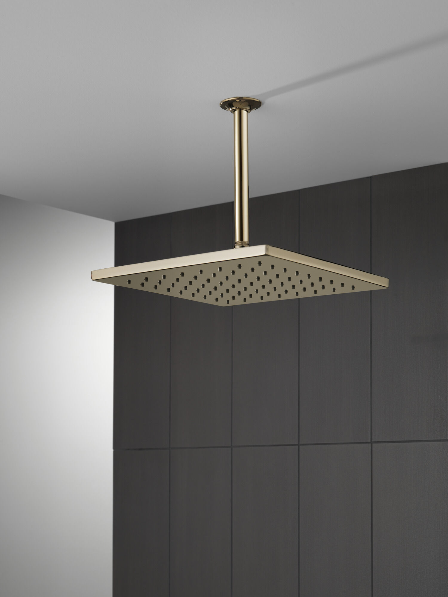 52159-PN Металлическая душевая лейка Raincan с одинарной настройкой Delta Faucet Universal Showering Полированный никель  - Вид №2