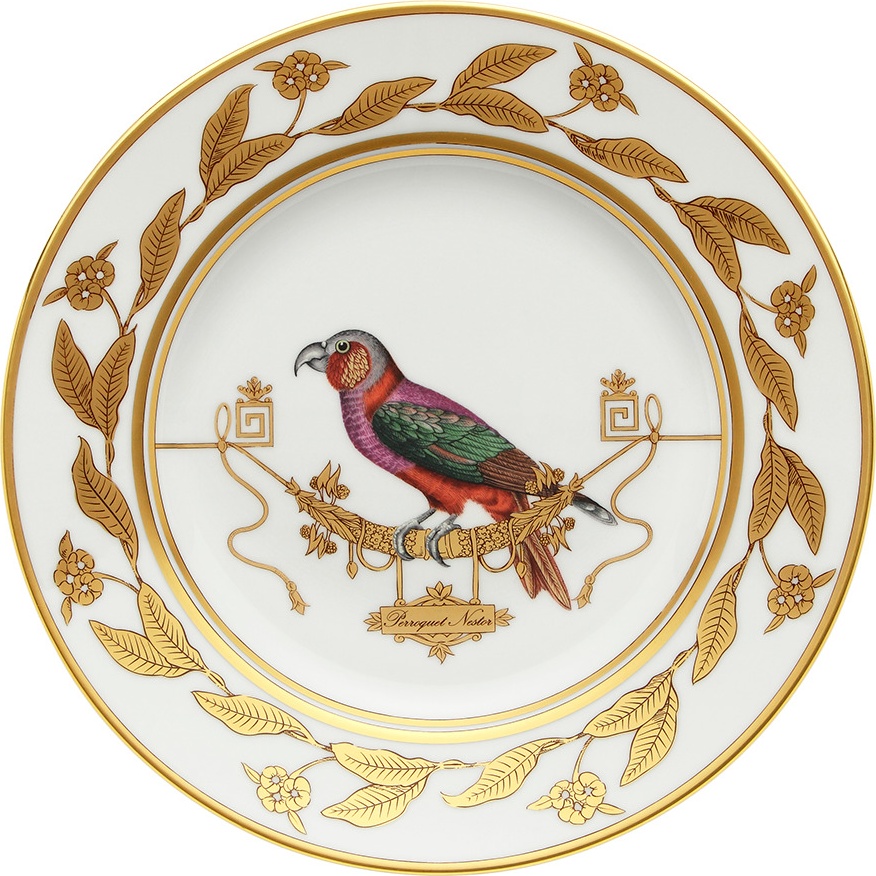 10647859 Richard Ginori Тарелка десертная 22 см  Volie're Perroquet Nestor Фарфор 