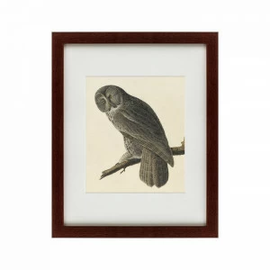 Картина: Great Gray Owl, 1834 КАРТИНЫ В КВАРТИРУ  135770 Разноцветный
