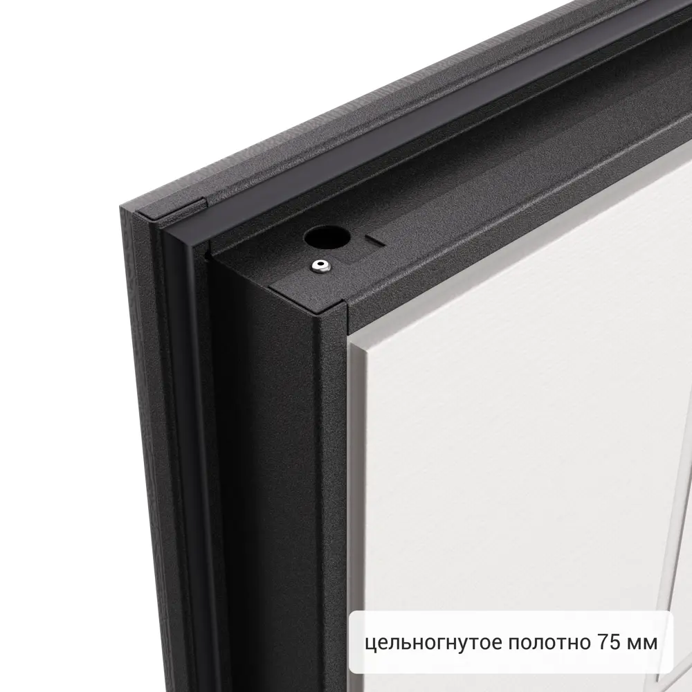 Дверь входная металлическая Хьюго 01 950 мм левая TOREX STLM-2143400 - Вид №9