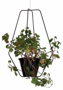 Compagnie Подвесной горшок