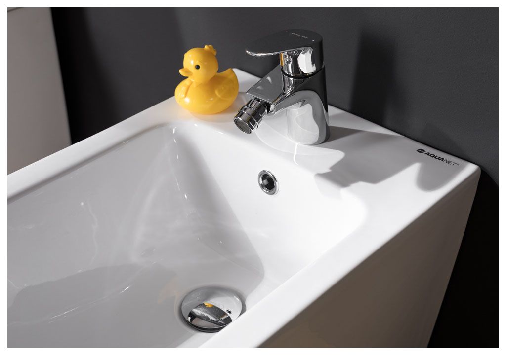 BL102FSB Биде напольное CETUS Aquanet - Вид №22