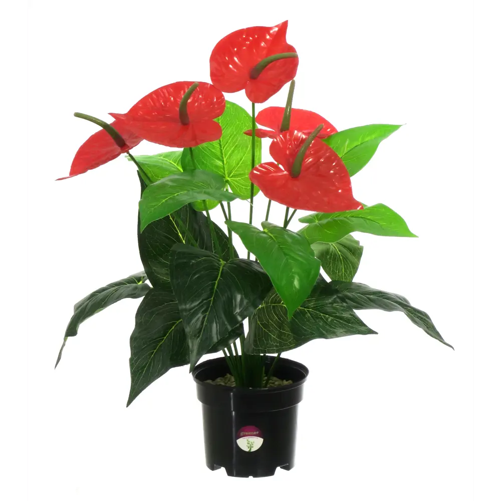 Искусственное растение Антуриум Макс ø13 h45 см Santreyd STLM-2045388 - Вид №1