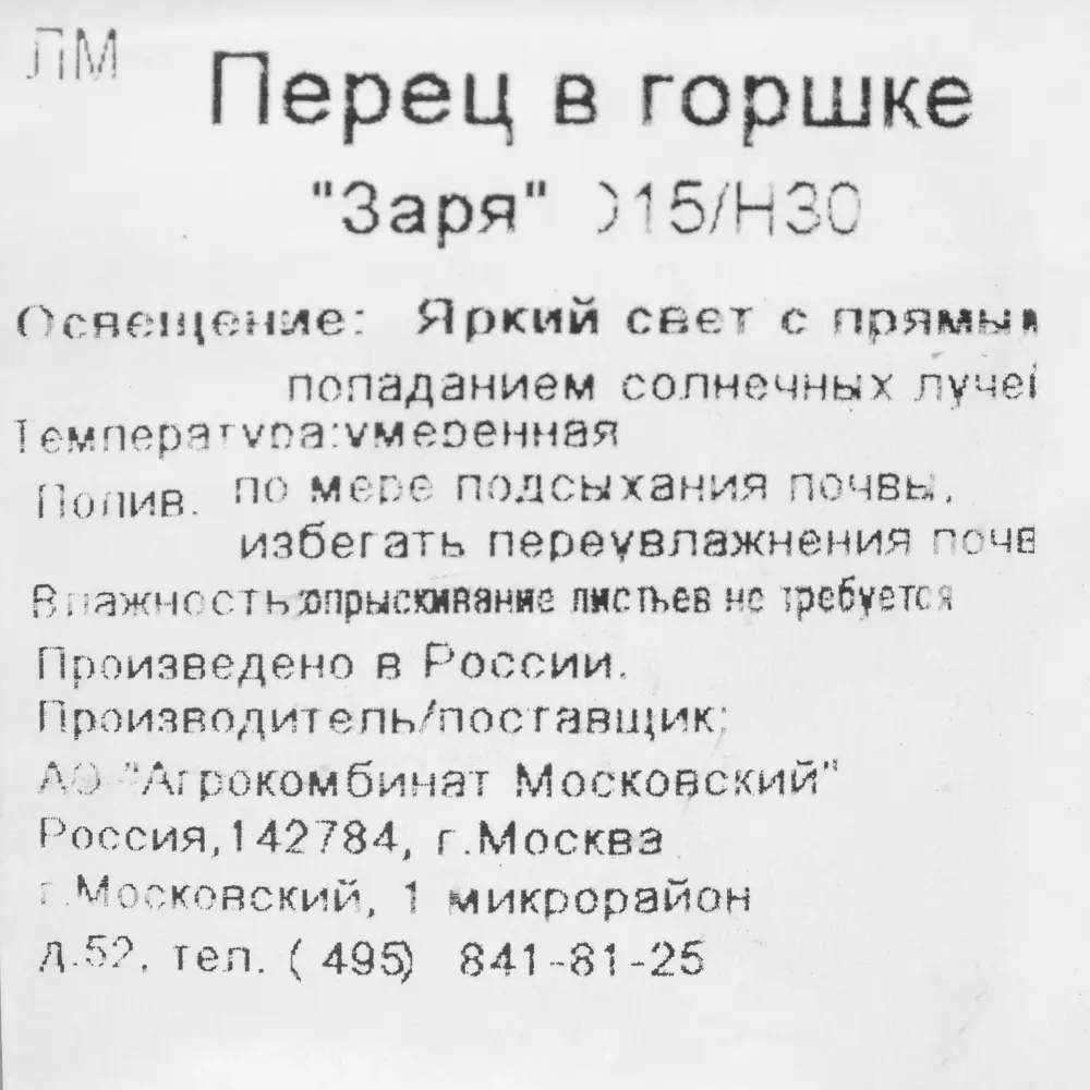 Перец в горшке, диаметр 15 см, высота 30 см 81981016 STLM-2027007 Santreyd  - Вид №1