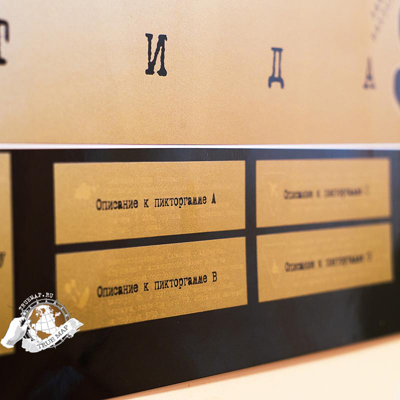 0614 Карта мира true map черная BadLab  - Вид №9