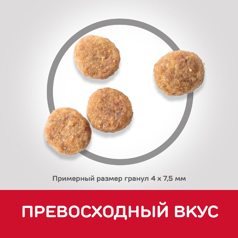 ПР0037505 Корм для собак Hill"s для миниатюрных пород с чувствительным пищеварением, курица сух. 3кг Hill's  - Вид №4