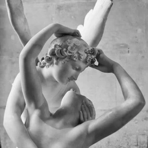 C2-226 Фотообои DIVINO Collection C 2.7х2 м