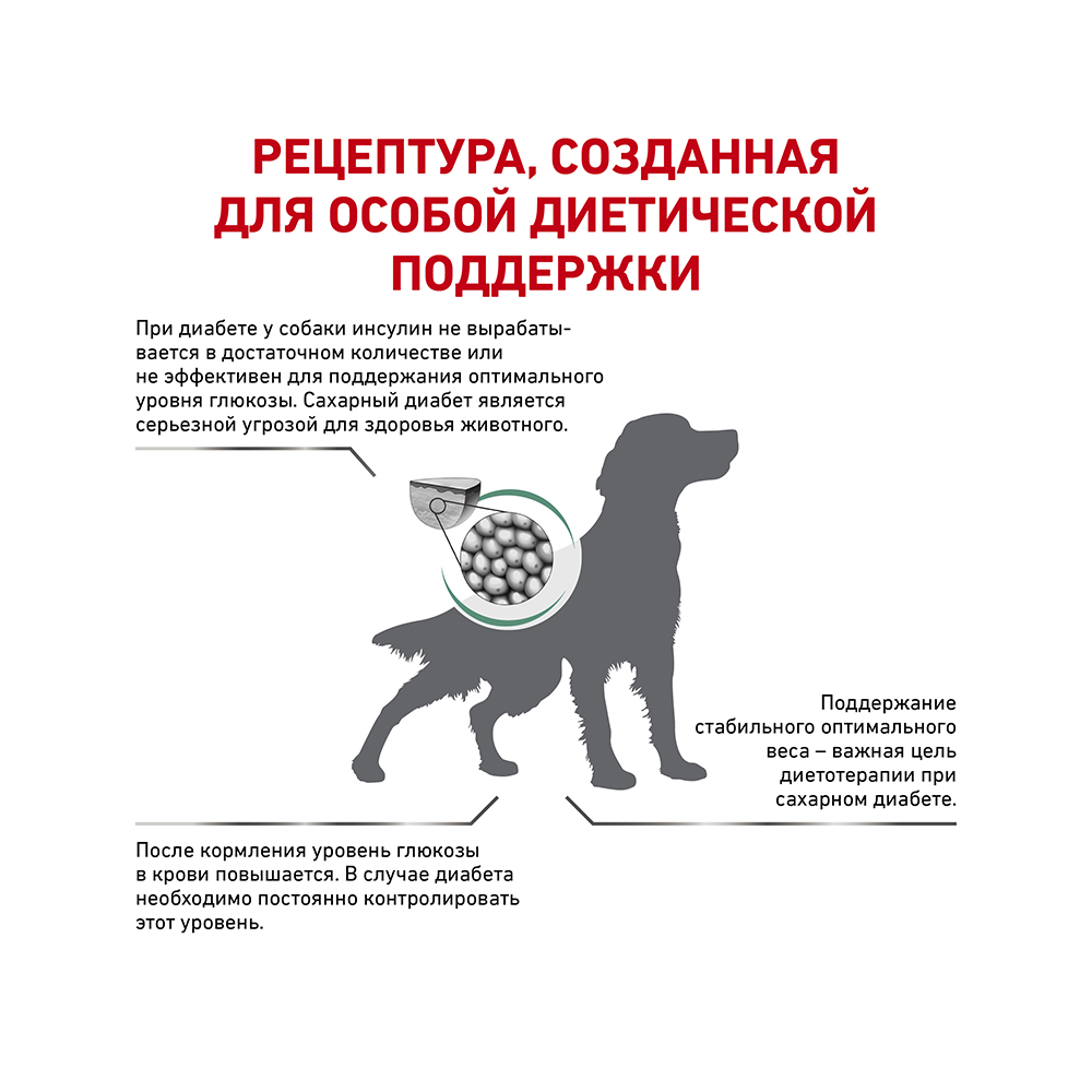 ПР0053540 Корм для собак Vet Diet Diabetic DS 37 при сахарном диабете сух. 12кг ROYAL CANIN  - Вид №2